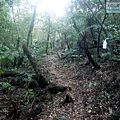 P2120420.jpg