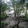 P2120640.jpg