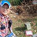P2120701-2.jpg