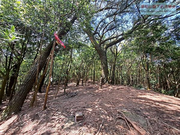 22 0409 士林 內湖梅花四弄雙溪山系o型連走 陽明山腳下的法蘭克 痞客邦 22 0409 士林 內湖梅花四弄雙溪山系o型連走 陽明山腳下的法蘭克 痞客邦