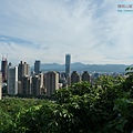 P1022803.jpg