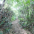 P1022827.jpg