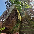 P1022857.jpg