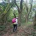 P2170151.jpg