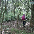 P2170154.jpg