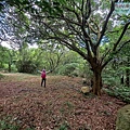 P2170157.jpg