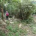 P2170158.jpg