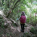 P2170187.jpg
