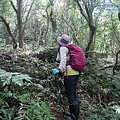 P2170192.jpg