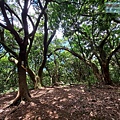 P2170196-1.jpg