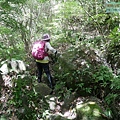 P2170203.jpg