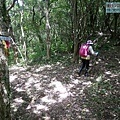 P2170202.jpg