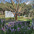P1069671.jpg