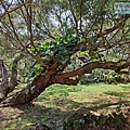 P1069672.jpg