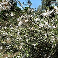 P1069673.jpg
