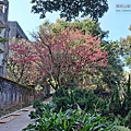P1069675.jpg