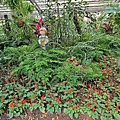 P1069676 (1).jpg