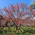 P1069680.jpg