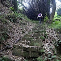 P1081675.jpg