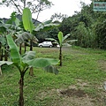 P1081677.jpg