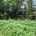 P1081681.jpg