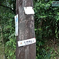 P1081686.jpg