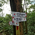P1081693.jpg