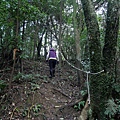 P1081695.jpg
