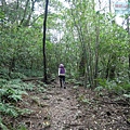 P1081694.jpg