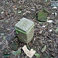 P1081700.jpg