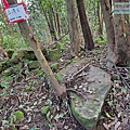 P1081703.jpg