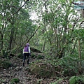 P1081706.jpg