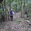 P1081704.jpg