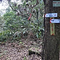 P1081708.jpg