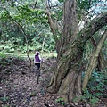 P1081710.jpg