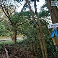 P1081711.jpg
