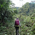 P1081727.jpg