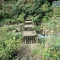 P1081728.jpg