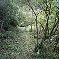 P1081729.jpg