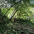 P1081735.jpg