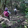 P1082040.jpg