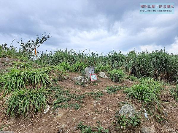 P2240394 (6).jpg P2240394 (6).jpg