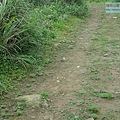 P1103791.jpg