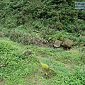 P1103790.jpg