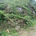 P1103793-1.jpg