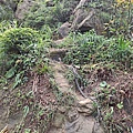P1103793-2.jpg