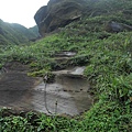 P1103795.jpg