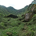 P1103796.jpg