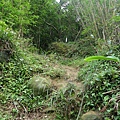 P1103799.jpg