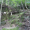 P1103800.jpg